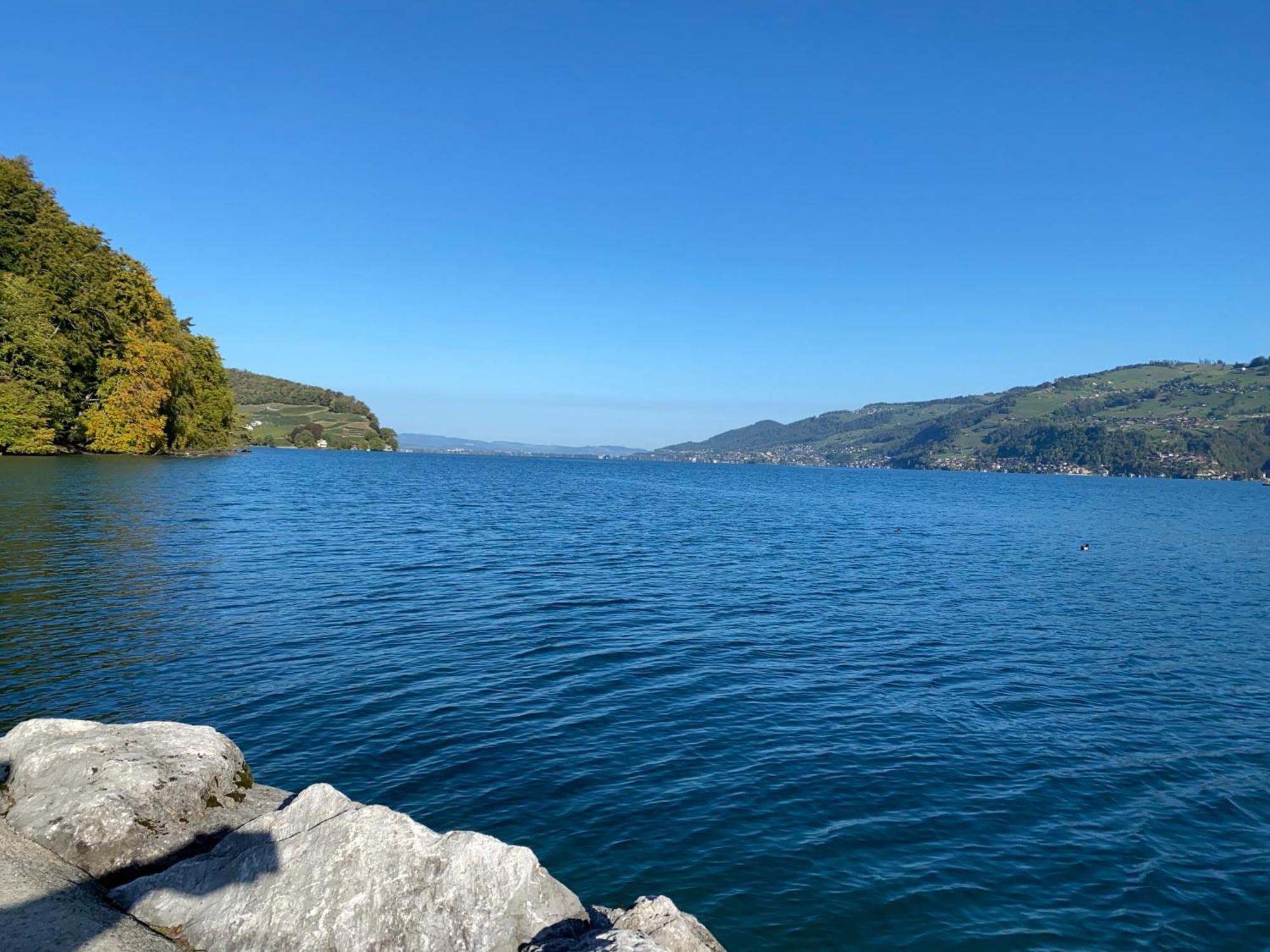 See Und Berge Family Faulensee Exterior photo